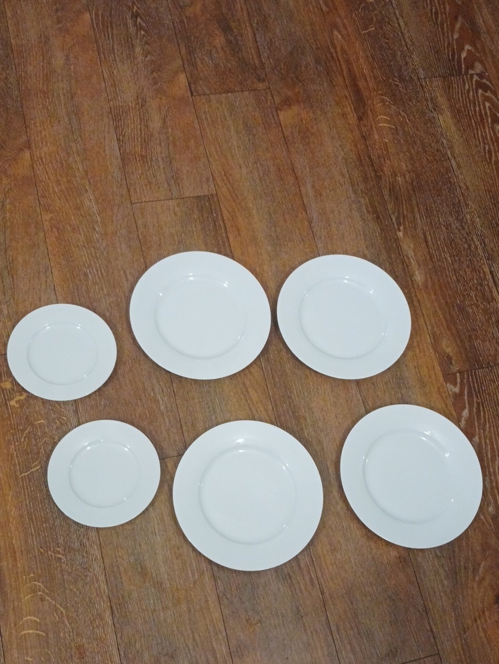 Amazon Basics Ceramic Dinner Plates